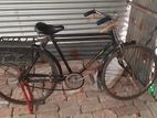 Bicycle for sell