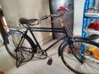 Bicycle for sell