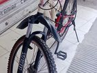 Prince Bicycle for sale