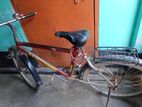 Cycle sell Fresh condition