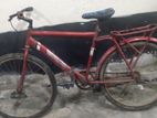 Cycle For Sell