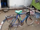 Bicycle for sell.