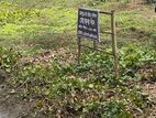 দালাল ছারা নিজ মালিক ভেজাল নিষ্কন্টক জমি।