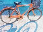 Bicycle for sell