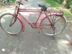 Bicycle for sell