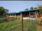 Dairy Farm For Rent.