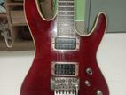 Danise customs guiter (veatnam made)