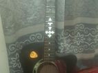 Dark Dk200 Guitar Semi Acoustic