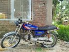 Dayang . 2002