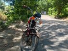 Dayang DY-125 . 2012