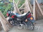 Dayang Runner Other Model bullet 100 2019