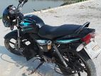 Dayang Bullet 135 2016