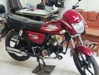 Dayang Runner Other Model 2020
