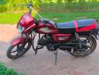 Dayang Runner Other Model . 2022