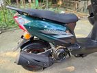 Dayang Runner Other Model Scooter 2024