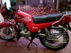 Dayang Runner Other Model 2024