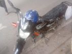Dayang Runner Other Model . 2022
