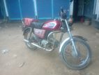 Dayang 80cc 2022