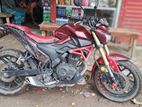 Dayang Runner Other Model Bolt 165 2022