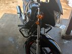Dayang Runner Other Model bullet 100CC 2023