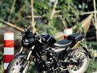 Runner Bolt 165R . 2023