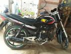 Dayang Runner Other Model sell 2014