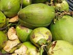 ডাব বিক্রি উত্তারার ভেতরে হোম ডেলিভারি দেওয়া হয়