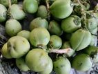 ডাব বিক্রয়