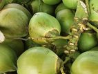 ডাব - Green Coconut