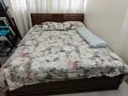ডাবল সাইজ বেড