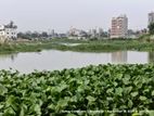 ঢাকা আমিন বাজার সালেপুরে হাইওয়ের কাছে প্লট বিক্রয়