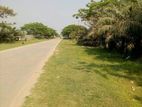 ঢাকা হাজীক্যাম্প সংলগ্ন প্লট বিক্রয়