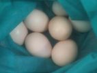 ডিম বিক্রি করবো