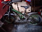 Duranta Bicycle for sale