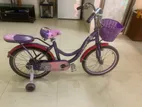 ড্রিম গার্ল বাইক (১০-১১ বছর)