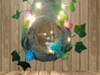Bird nest