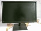 Dell 19'