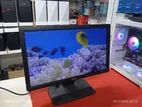 DELL 19" ইঞ্চি মনিটর. সুতার মতো দাগ আছে.