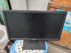 Dell 19" Led Monitor