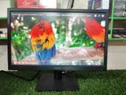 Dell-19" LED Monitor (hdmi available)