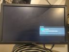 Dell 19" monitor