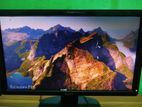 Dell 19" Monitor