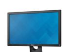 Dell 19" Monitor