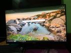 Dell 21.5' Monitor