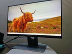 Dell 22 inch Monitor