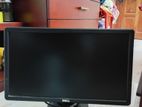 Dell 24" Monitor