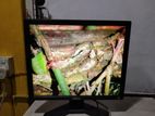 DELL Brand 19" Fresh Monitor