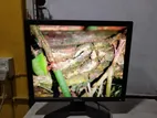 DELL Brand 19" Fresh Monitor