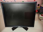 Dell Monitor 19"