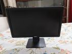 Dell monitor